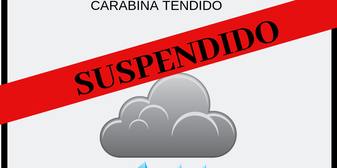 SUSPENSIÓN DEL REGINOAL